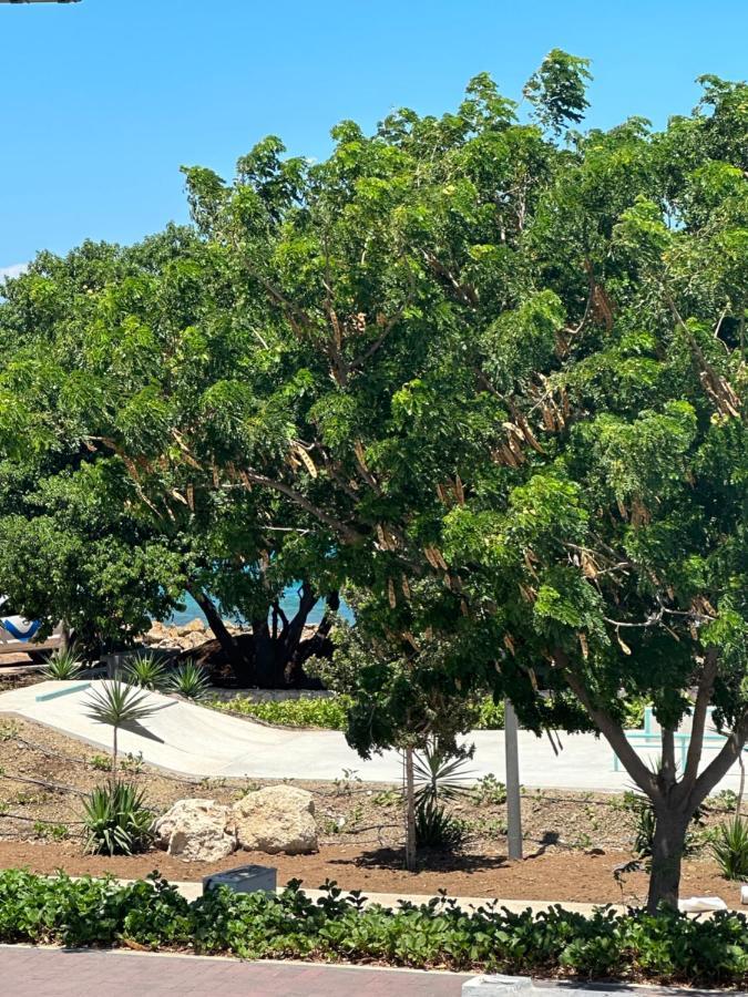 Apartament Whitehouse Boulevard, Close To Mambo Beach And City Centre Willemstad Zewnętrze zdjęcie