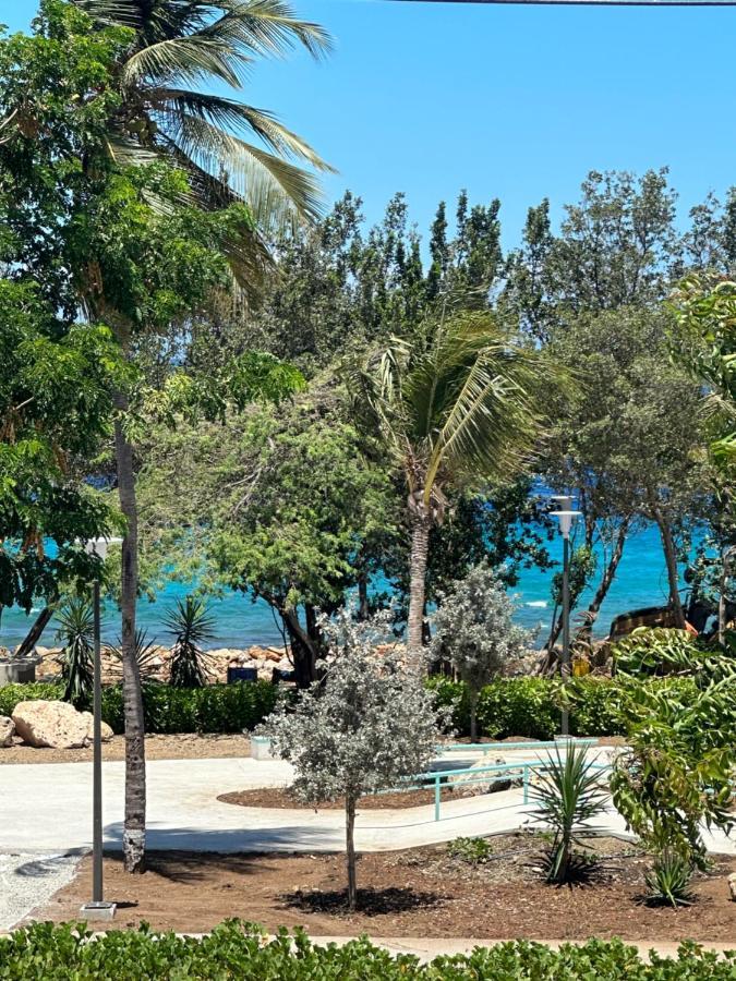 Apartament Whitehouse Boulevard, Close To Mambo Beach And City Centre Willemstad Zewnętrze zdjęcie